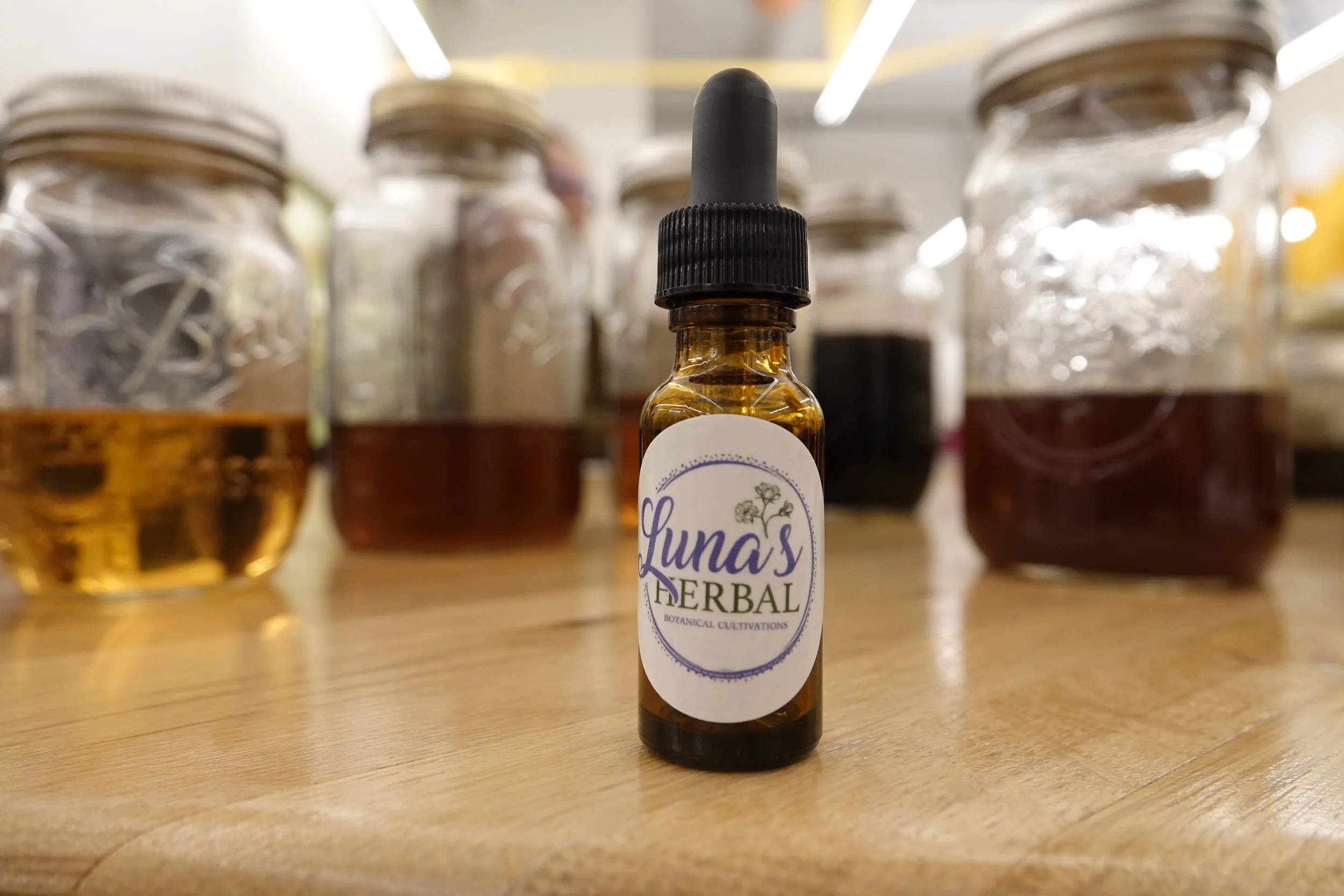 Introduction to Herbal Medicine 