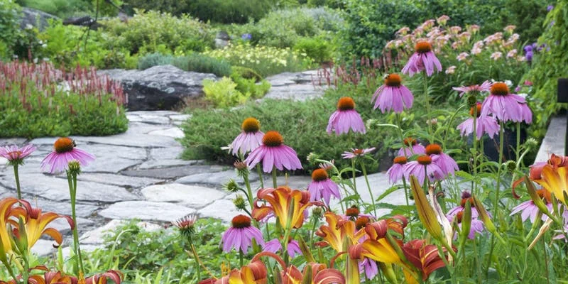 Herbalism Walk at Distant Hill Gardens and Nature Trail 