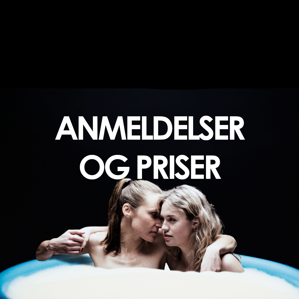ANMELDELSER.png