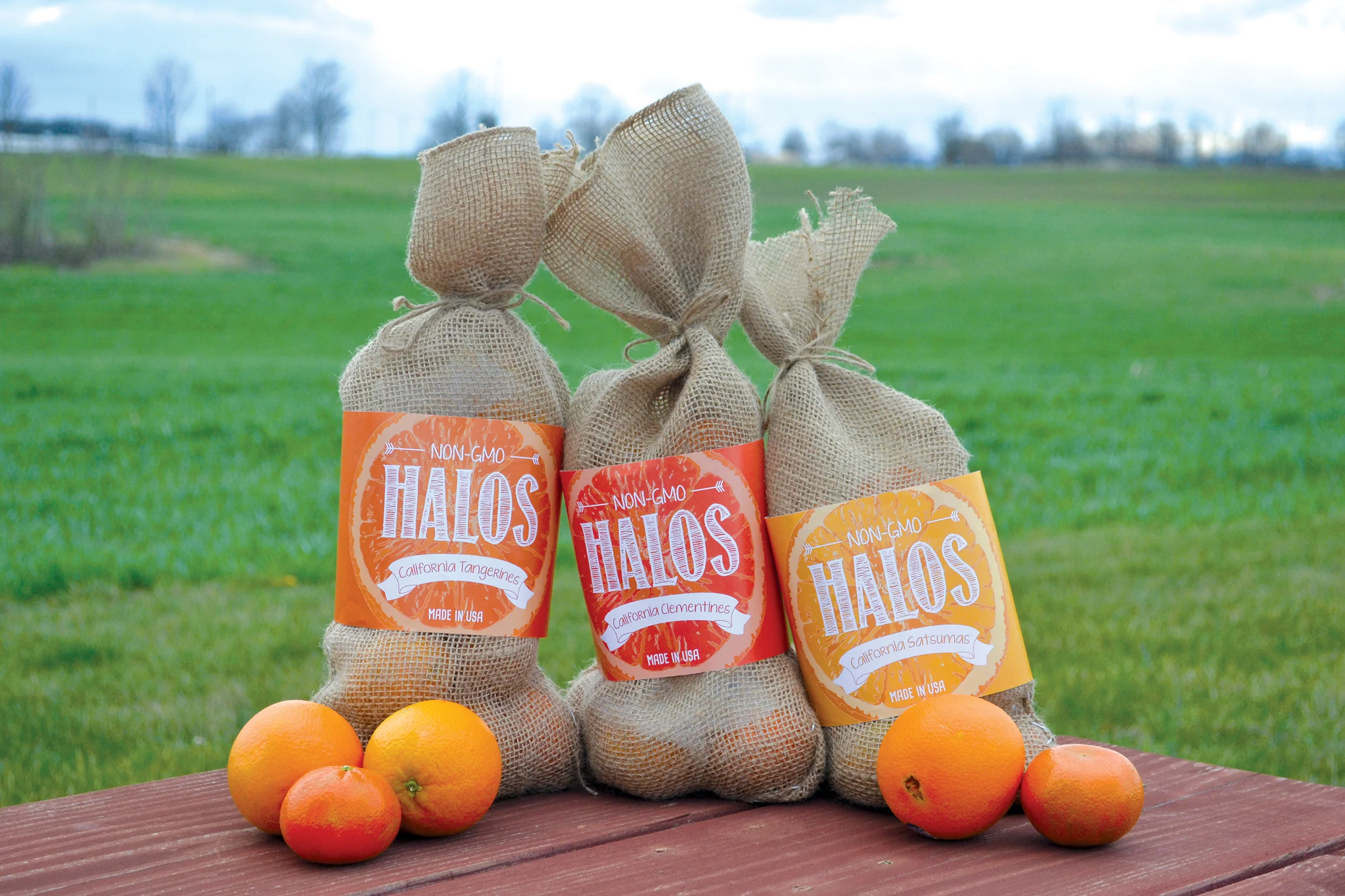 Packaging Front