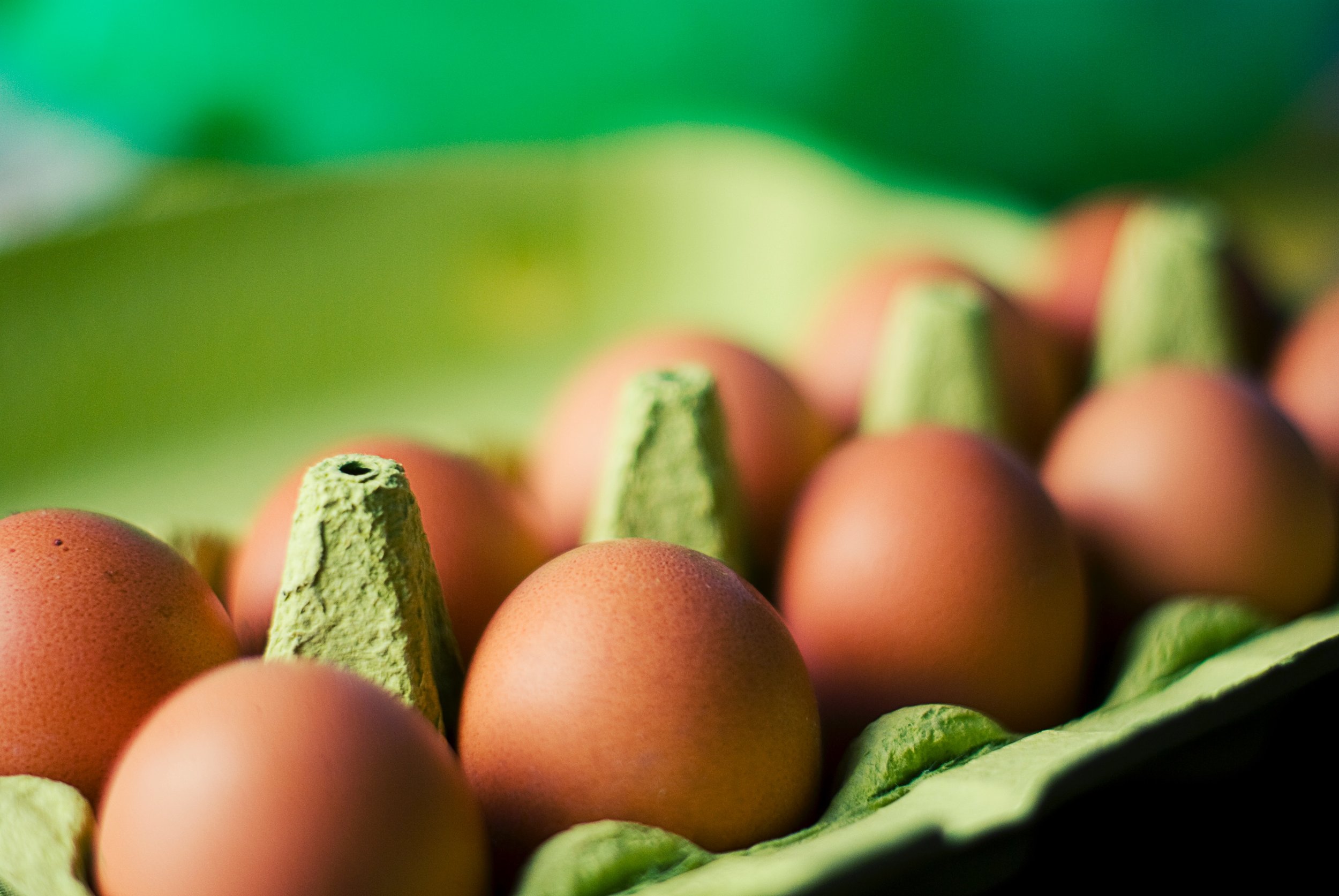 eggs-food-8483.jpg
