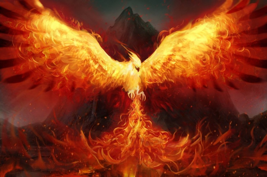 Phoenix-5.jpg