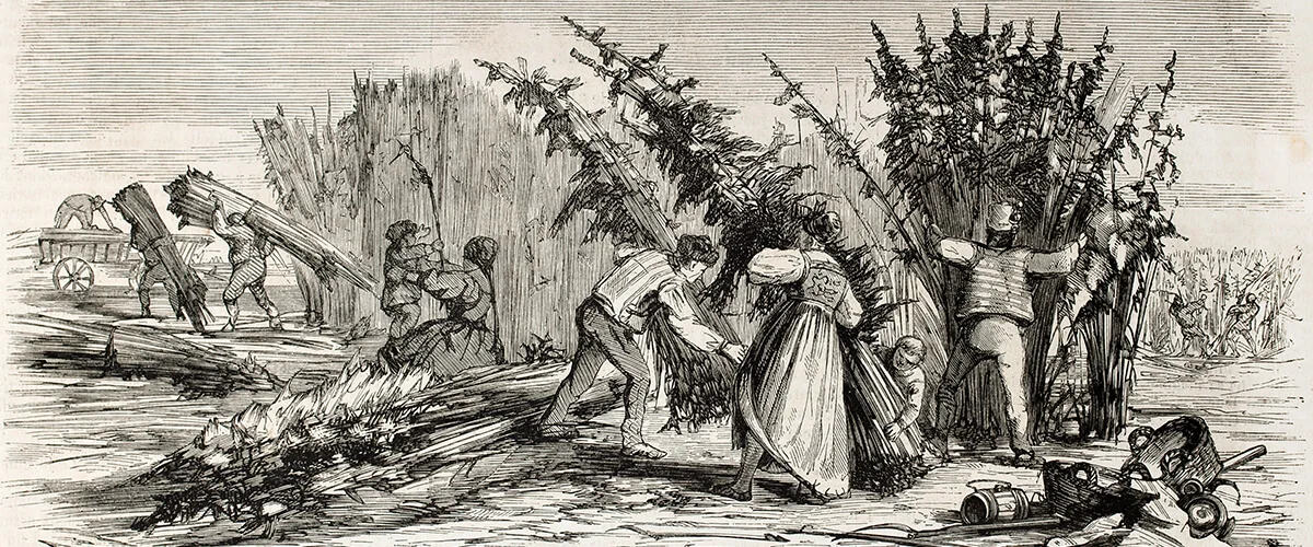 hemp-history.jpg