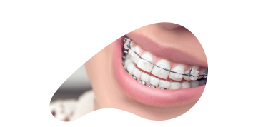 orto01.png