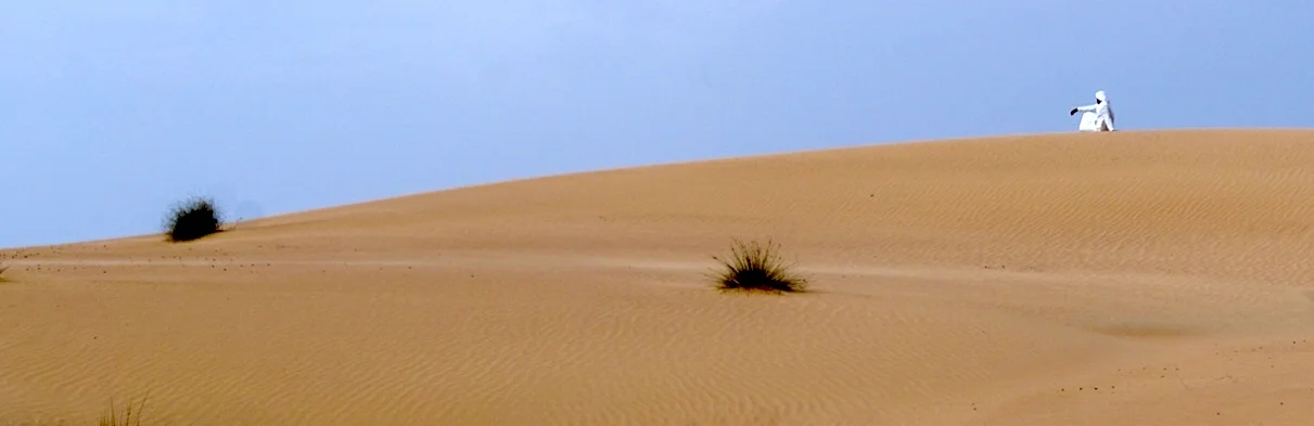 A - nlvl - H - Larson - Suzanne - Alone in the desert.jpg