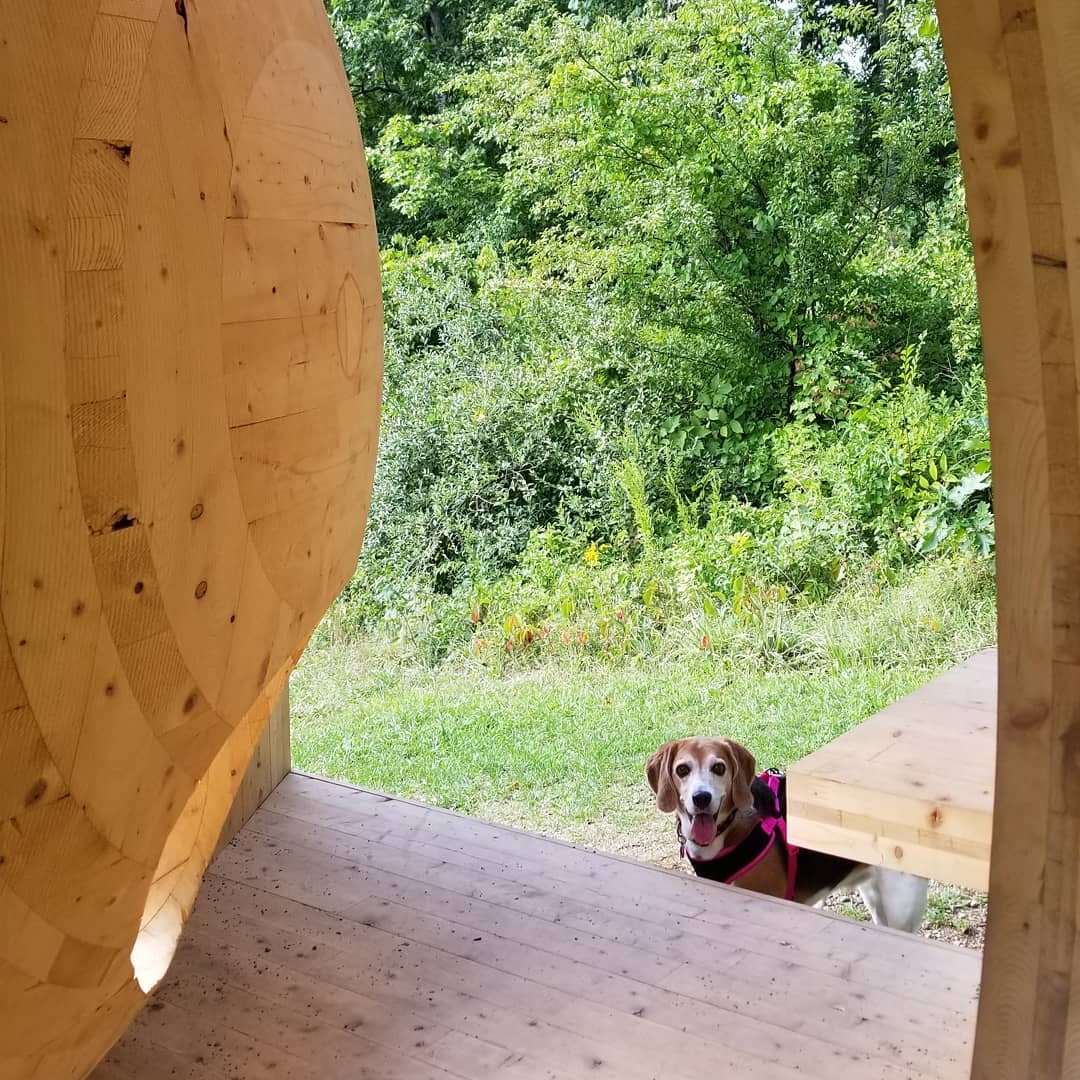 .
Dog and Sculpture 💕🌿🌷🐶
.
.
.
.
.
.
.
.
.
#adventure #forest #wildflowers #quarantine  #summer #photooftheday
 #artist #love  #hudsonvalleyart #artistlife #creativecommune #instaartist #instadaily #wildlife #artomi #sculpture #travelinspiration 