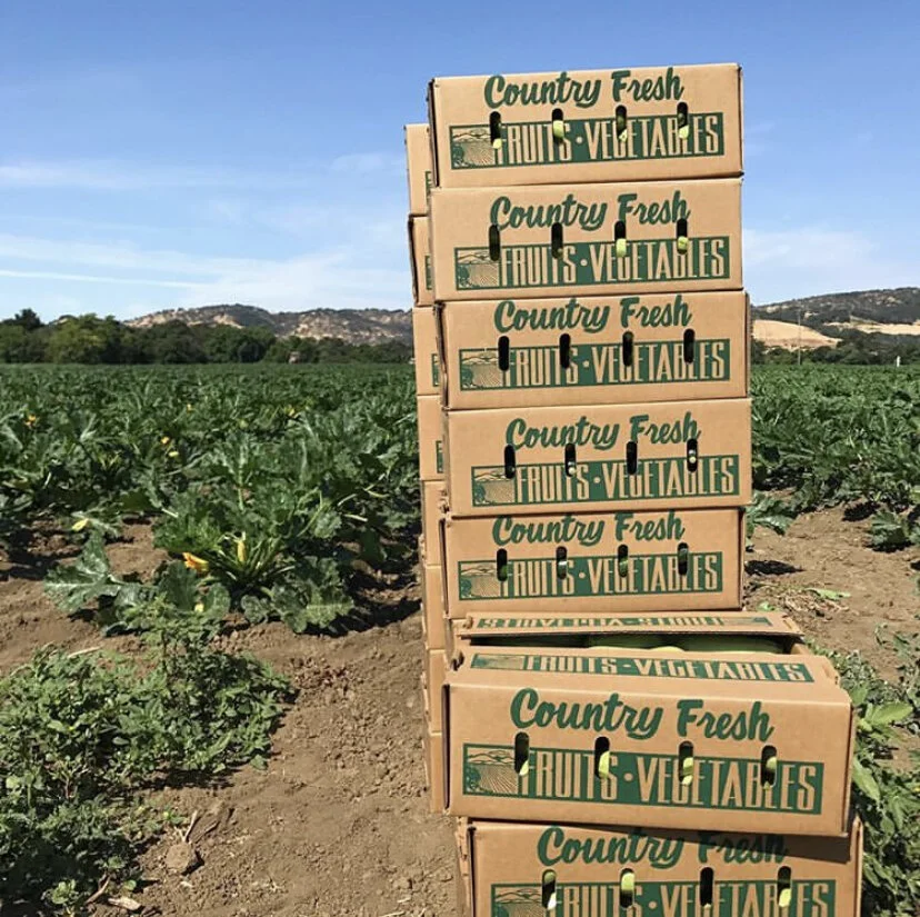 Shop — Larry's Produce