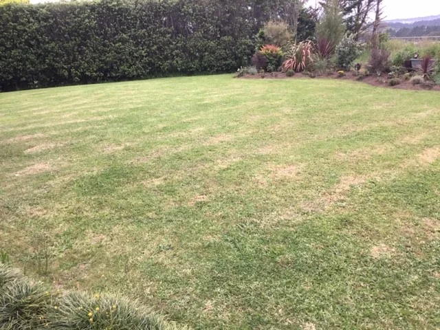 robolinho test 1.jpg