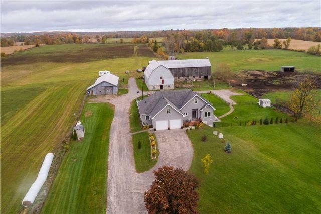 100 Acre working cattle farm in Trent Hills. SOLD
