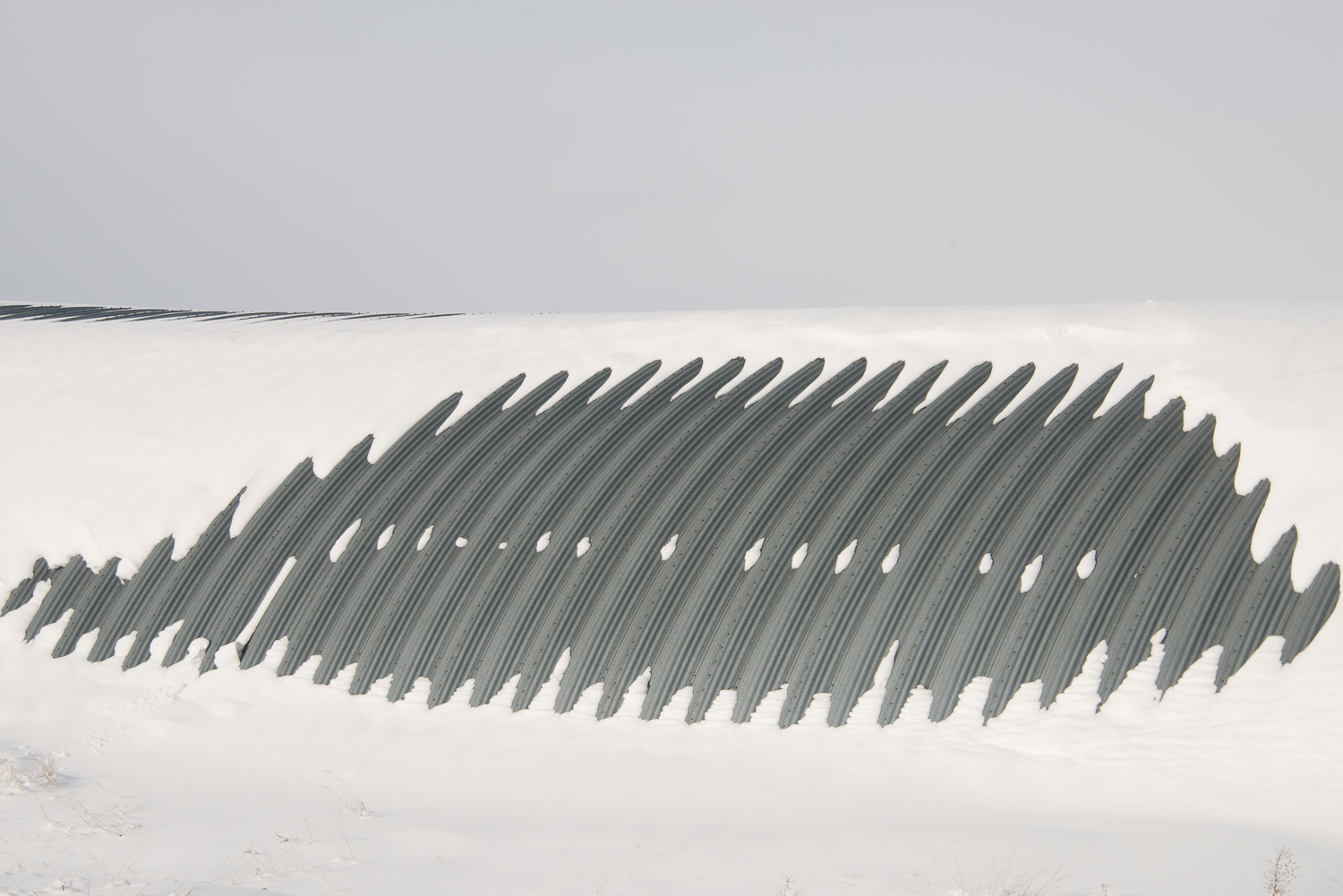 Art / Gamma 04
