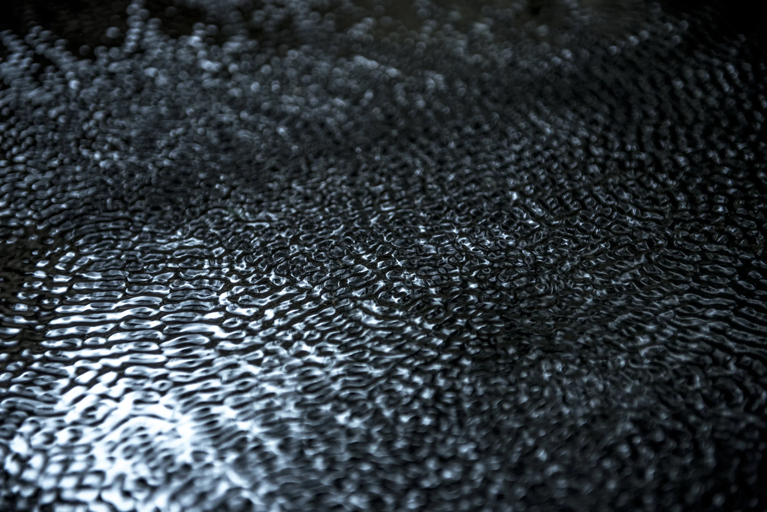 _DSC9091.jpg