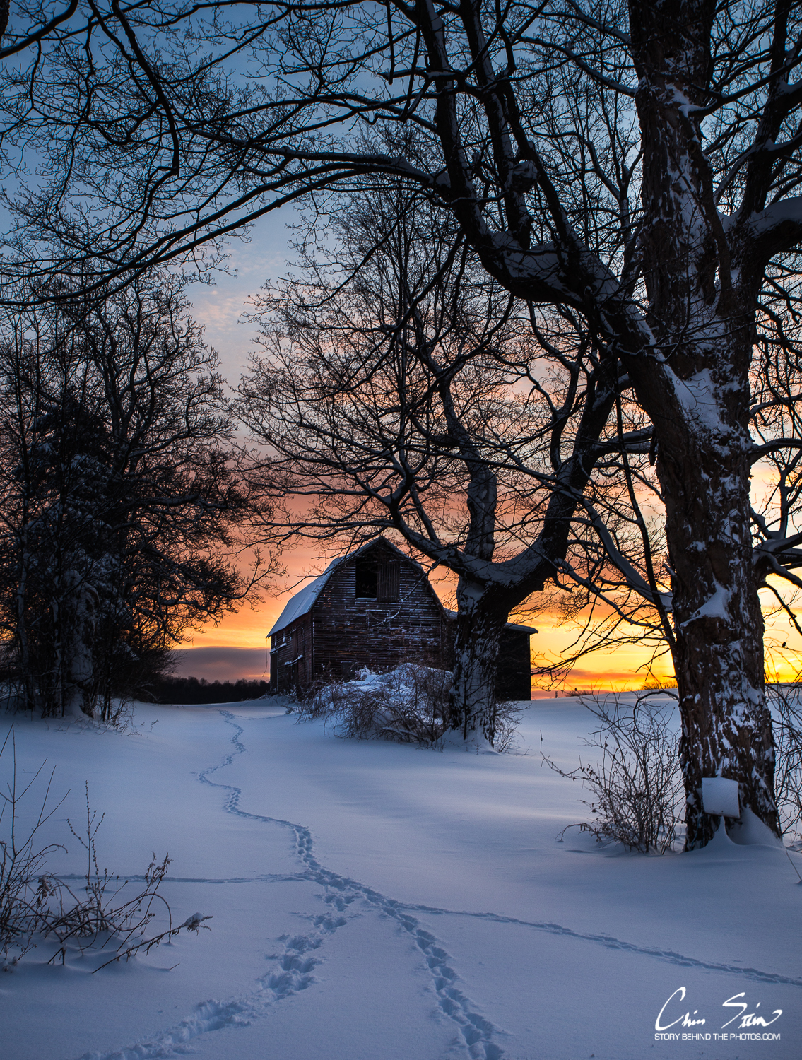 Postcard country morning - January 2018