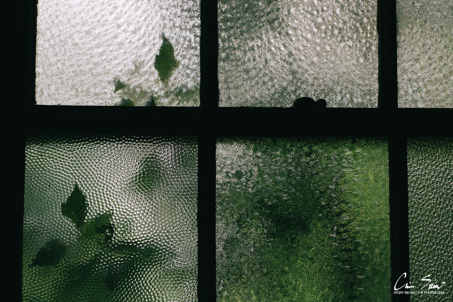 rainy window2018.jpg