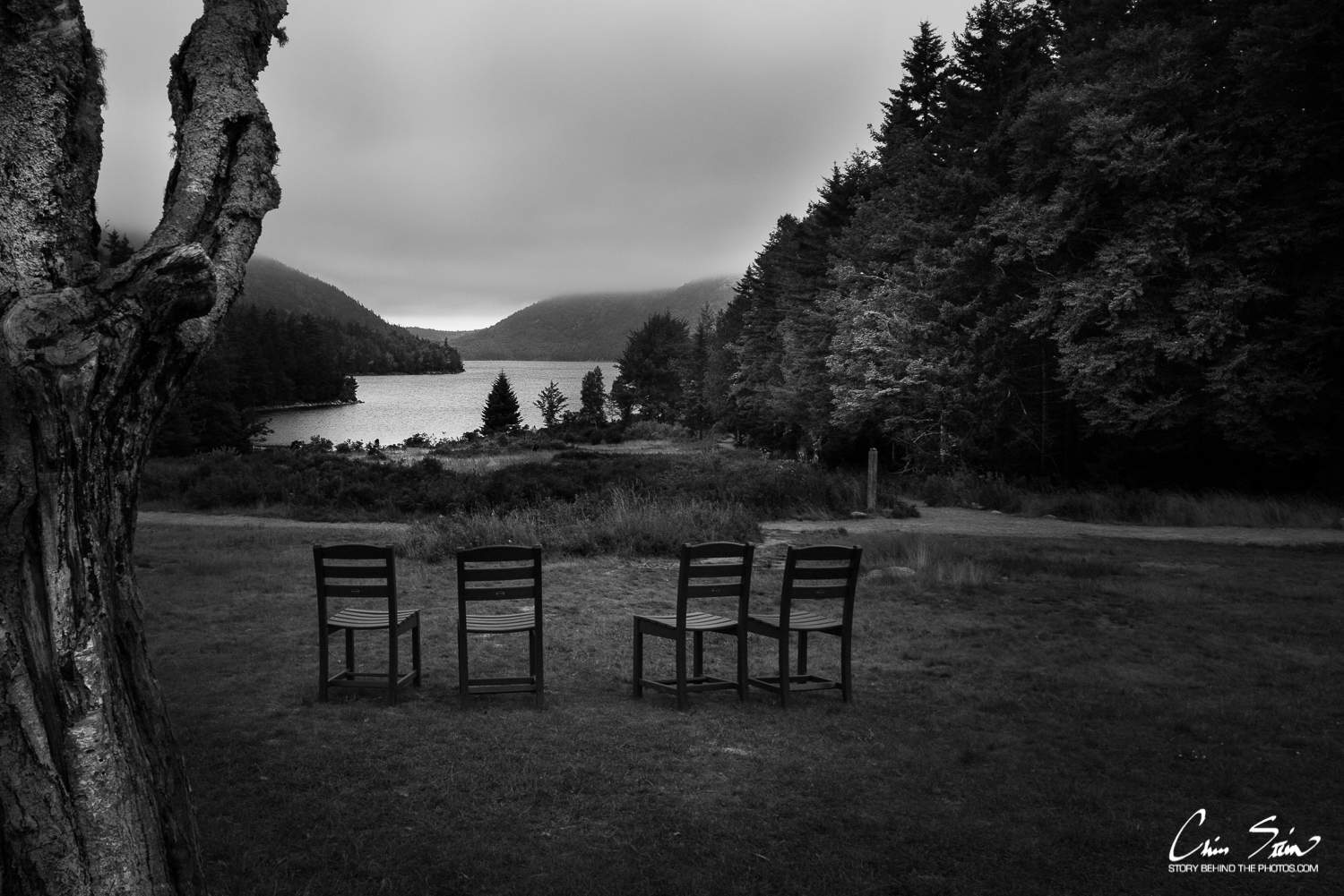 <untitled> 1230.jpg