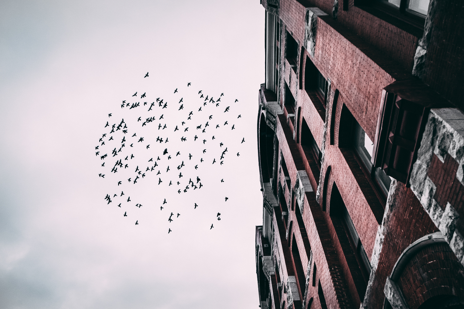 untitled-2.jpg