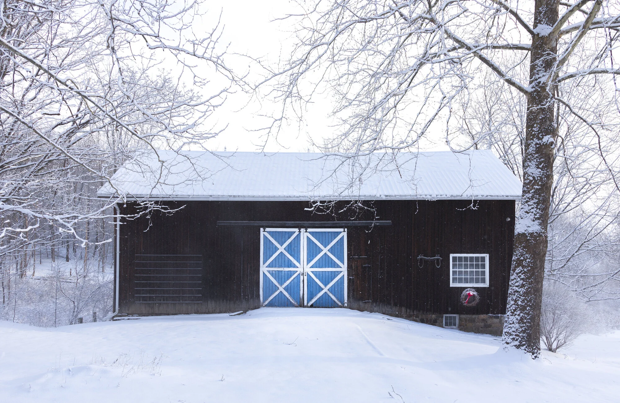 snow2016.jpg