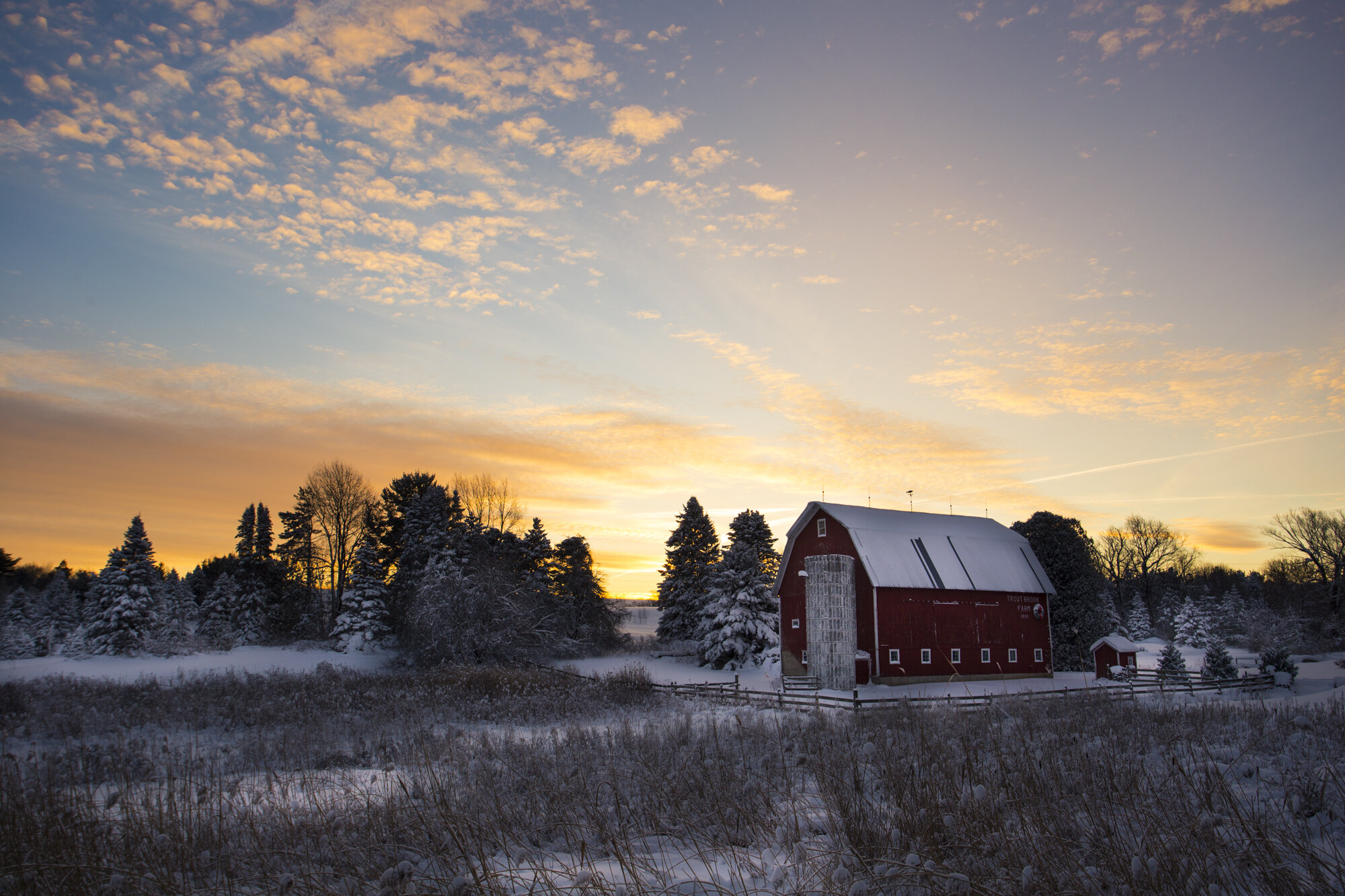snow2018-4.jpg