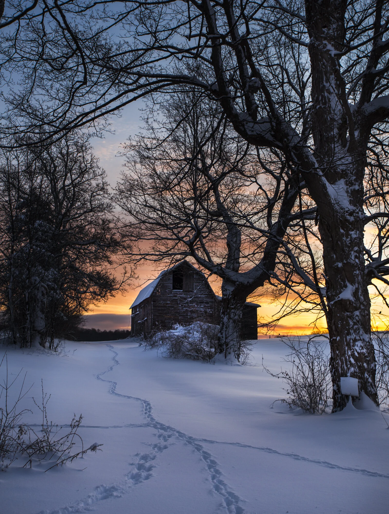 snow2018-3.jpg