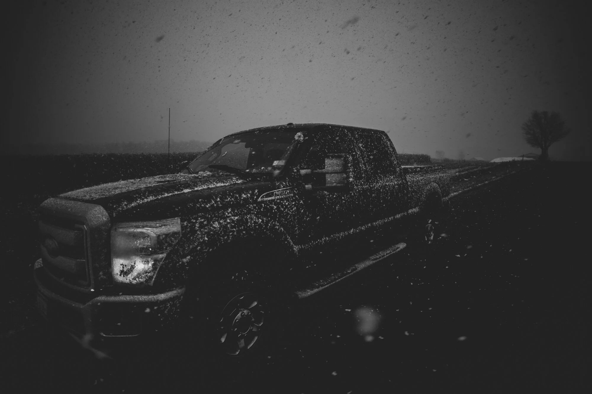 snow2019.jpg