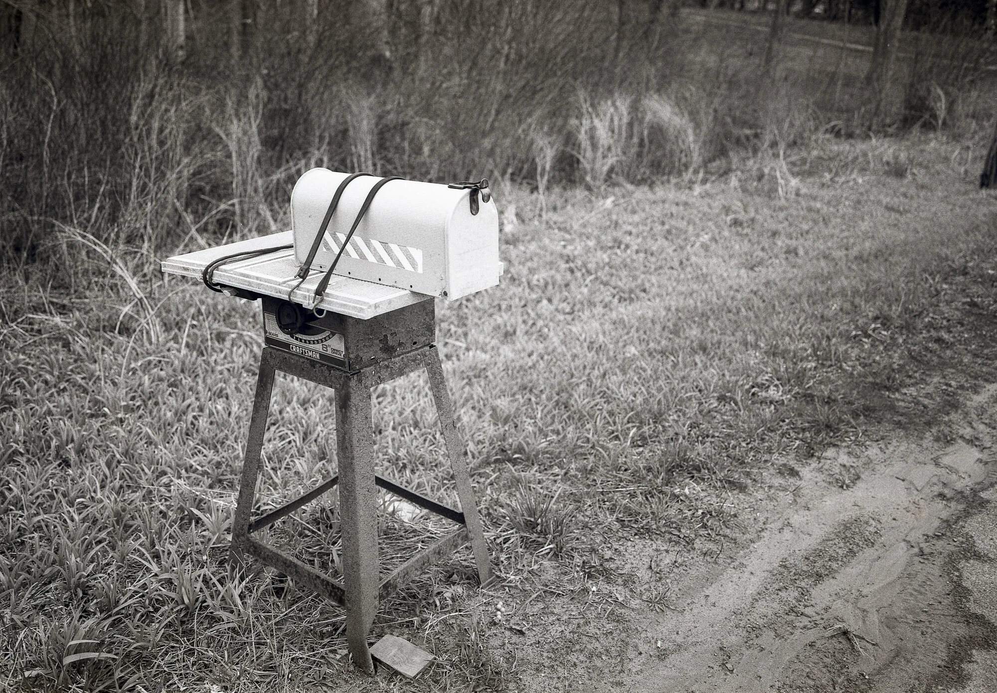 Mailbox Saw2020.jpg