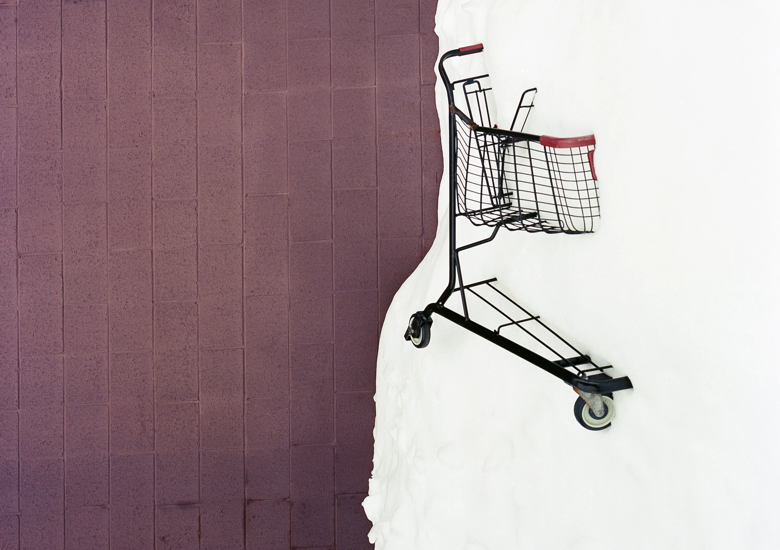 snowbank2021.jpg