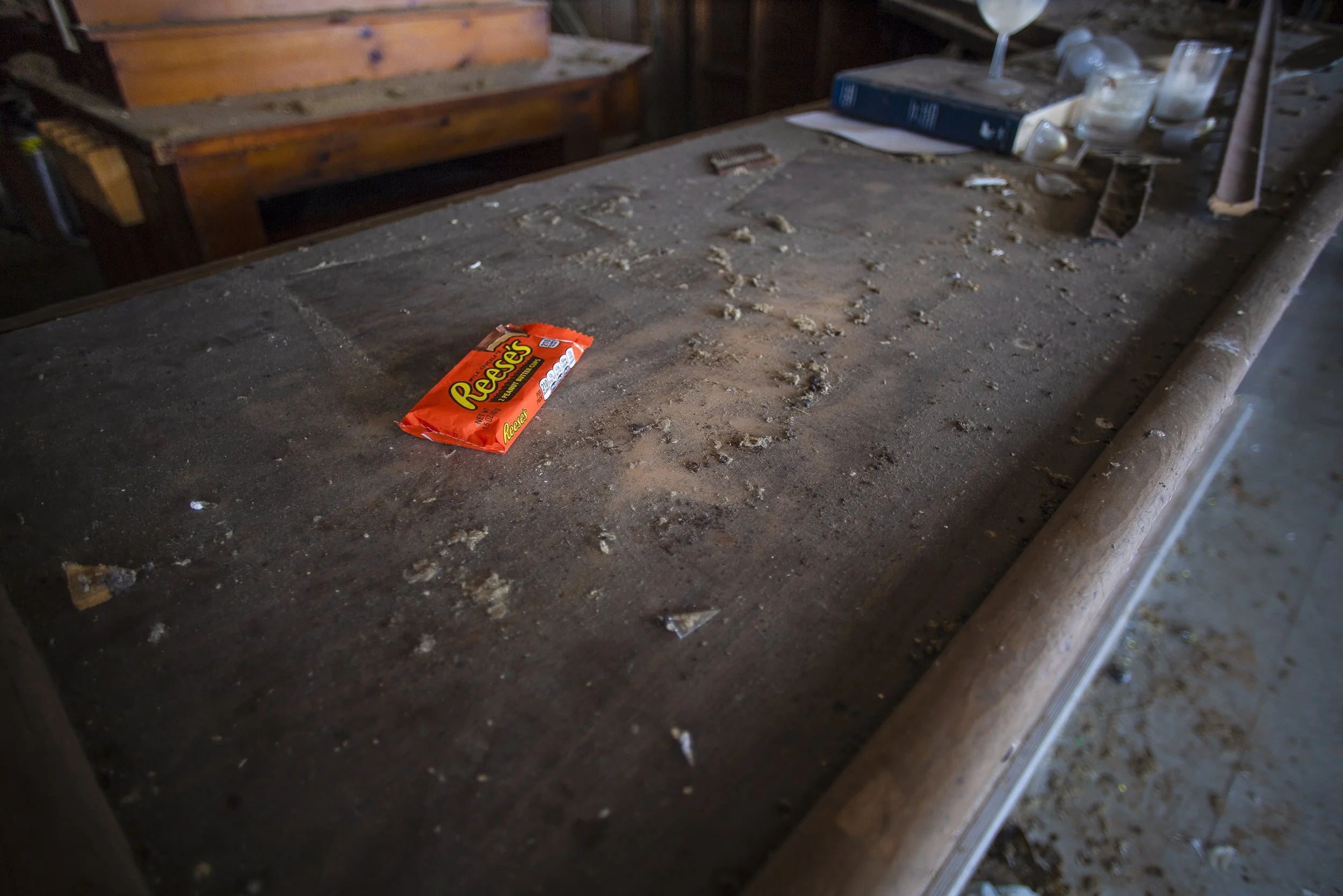 Log Cabin 3January2019-1.jpg