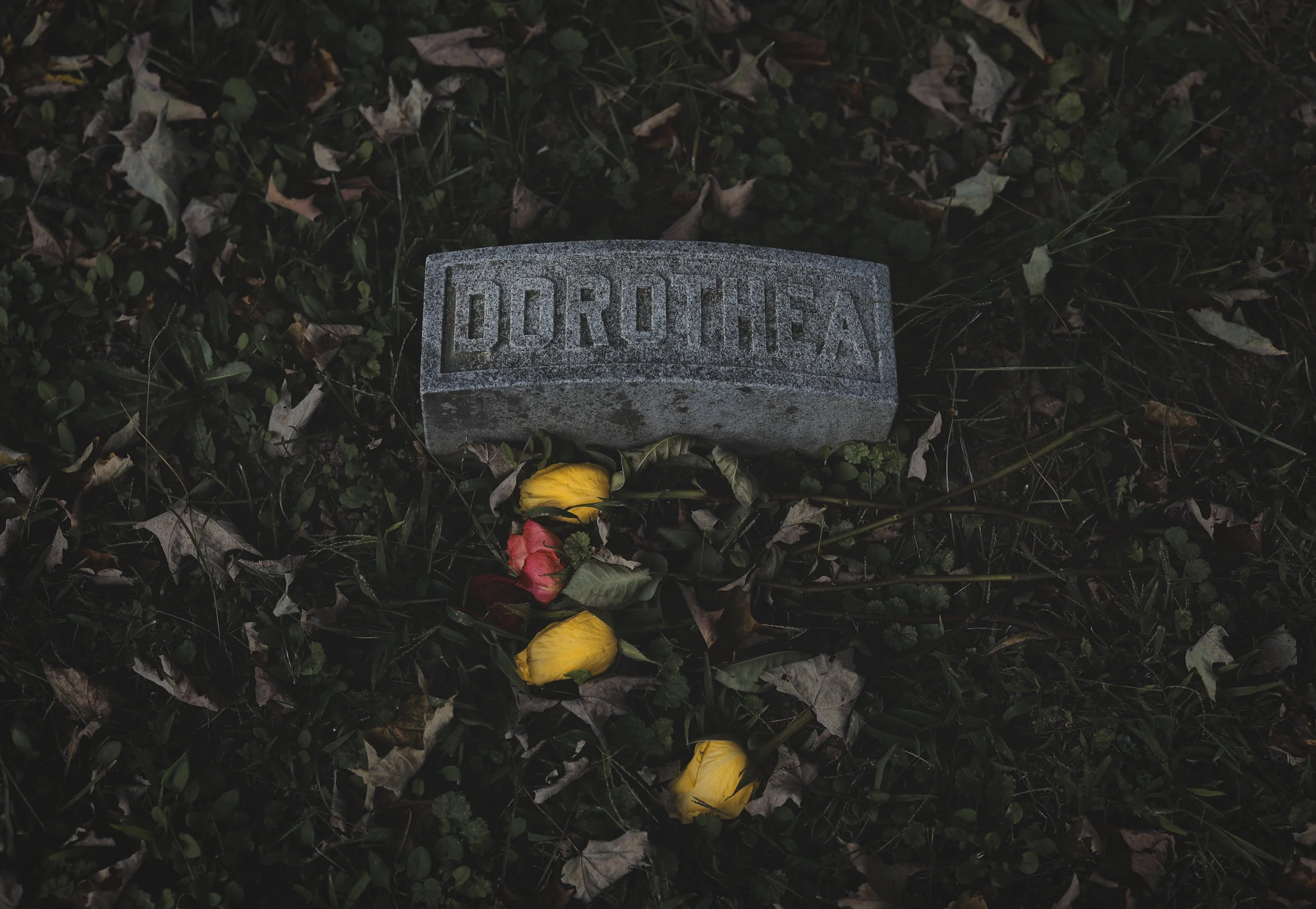 DortheaSeptember2024-1.jpg