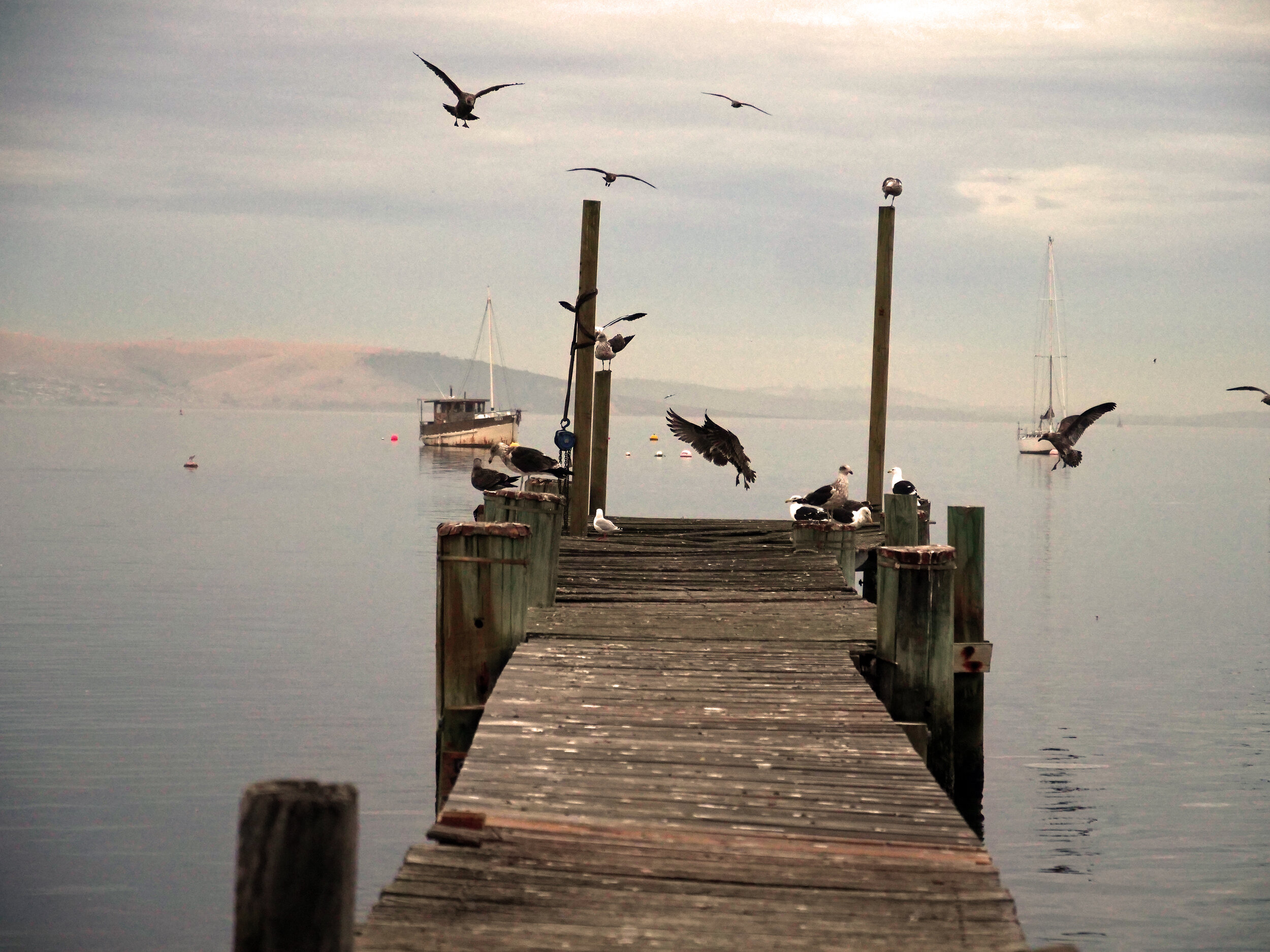 Bradley Patrick 0043.JPG