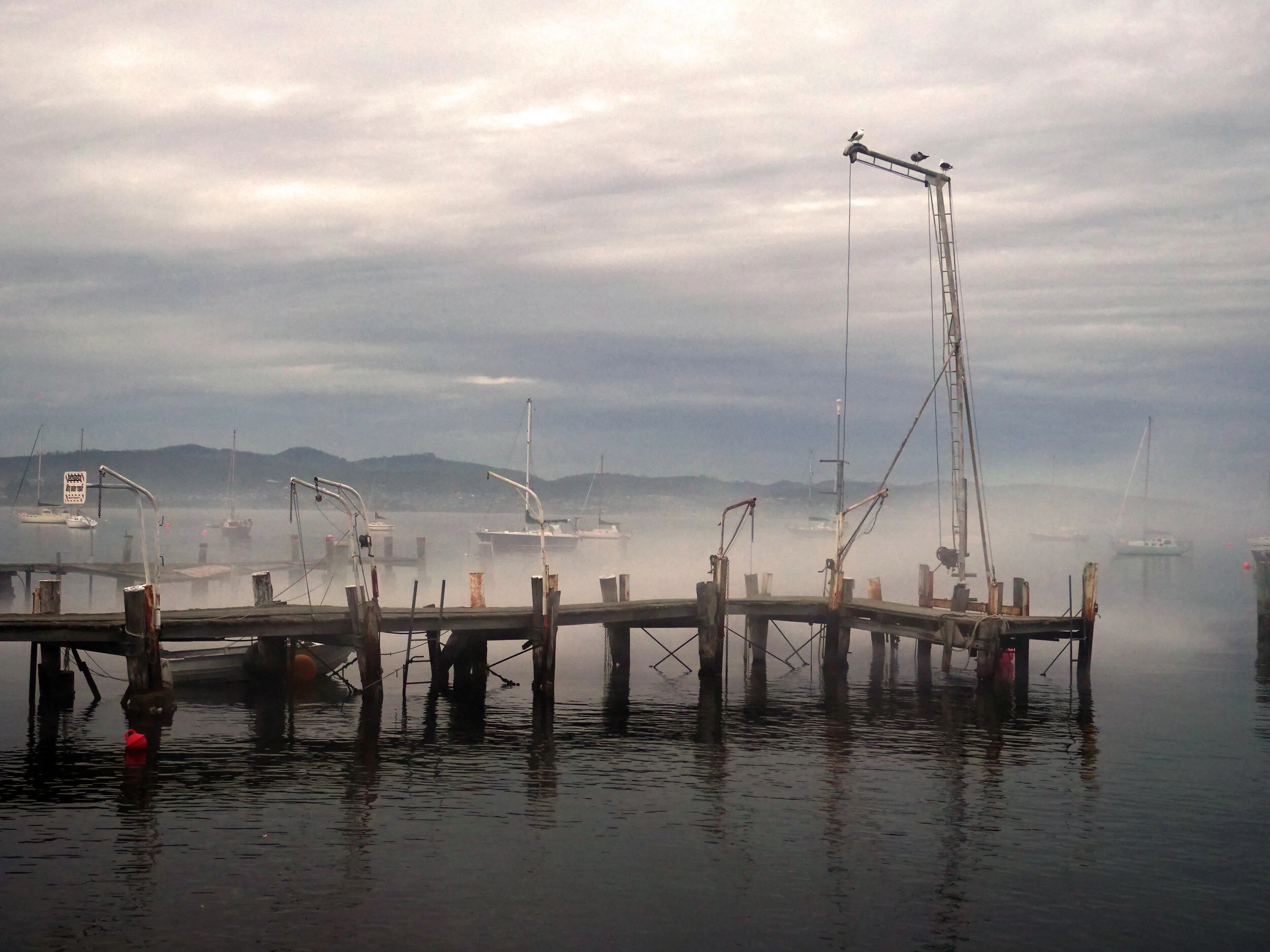 Bradley Patrick 0072.JPG