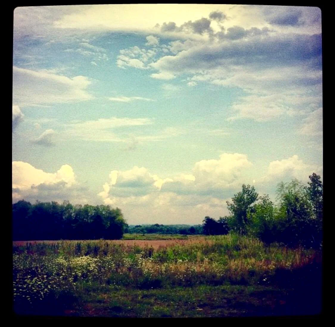 Image courtesy of April Van Valkenburg