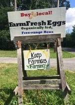 Fresh Eggs on Flats Road