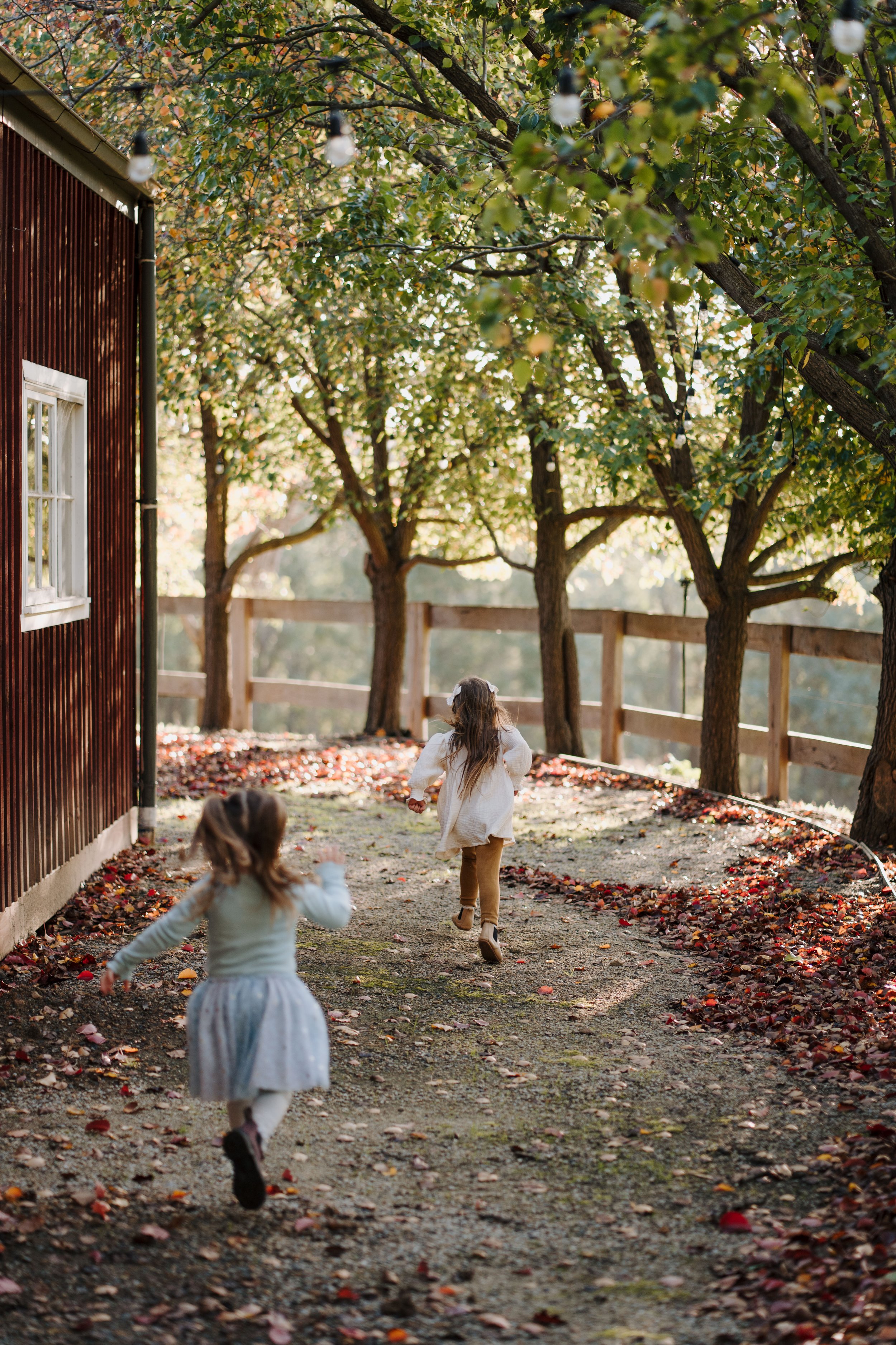 The Collins Family-138.JPG