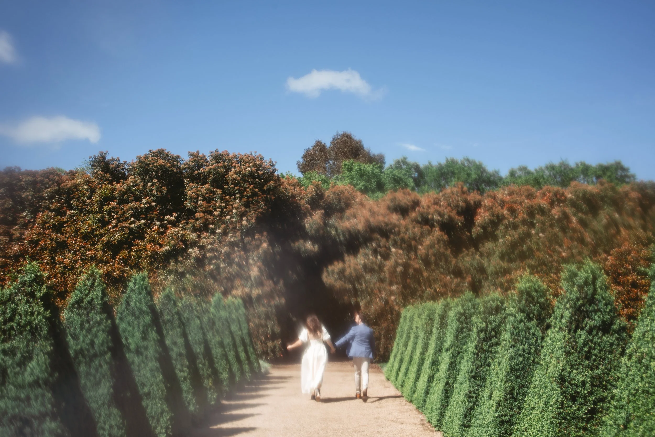 Katya and Joel Alowyn Gardens-212.JPG