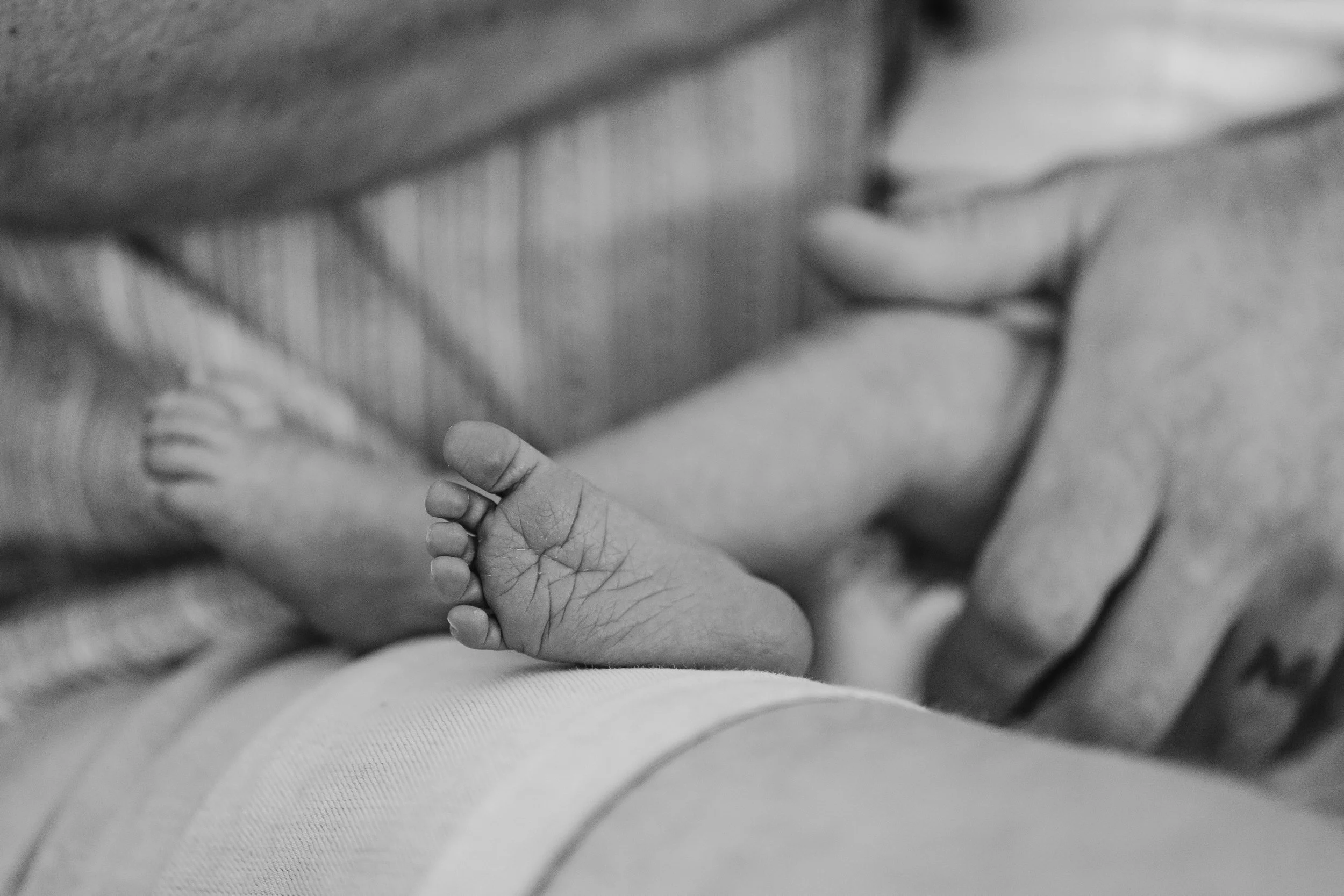 The Boeck Family-5.jpg