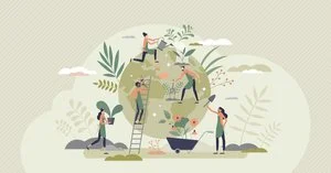 A Year of Reflection &amp; a Sustainable New Year