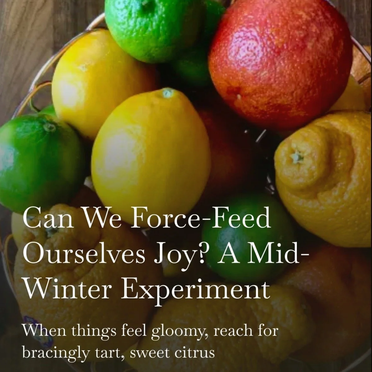 I wrote about being intentional about eating your way into a better mindset (spoiler: citrus is involved). Read it on Substack - link is in my bio, in my stories, and here: https://chandraram.substack.com/p/can-we-force-feed-ourselves-joy-a
