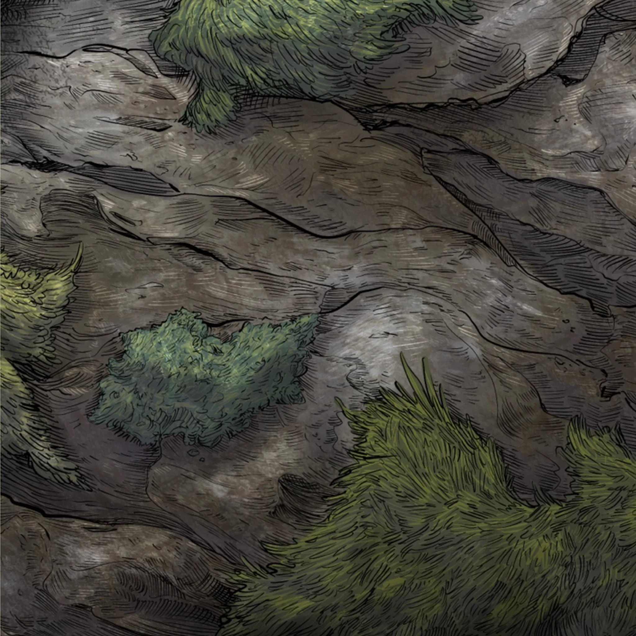 Brown Creeper_Detail01.JPG