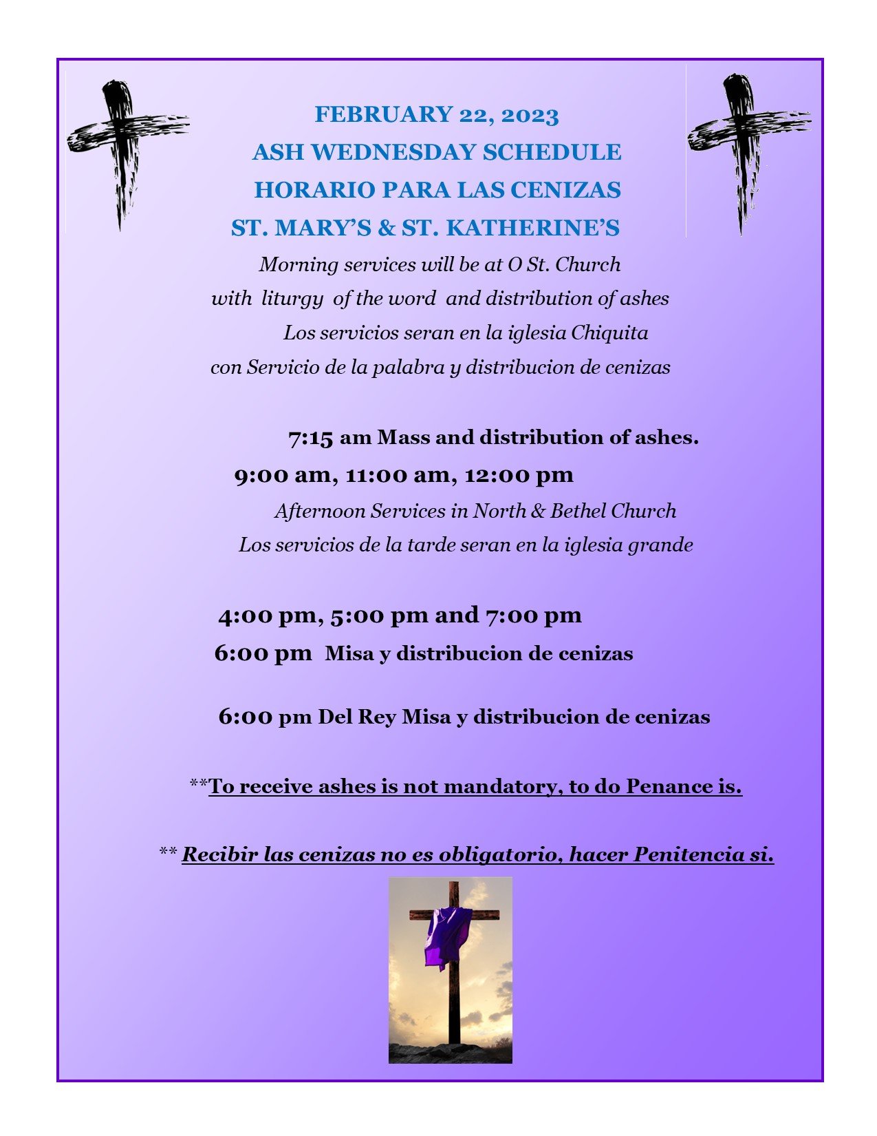Ash Wednesday Ashes – Spanish – Diocesan