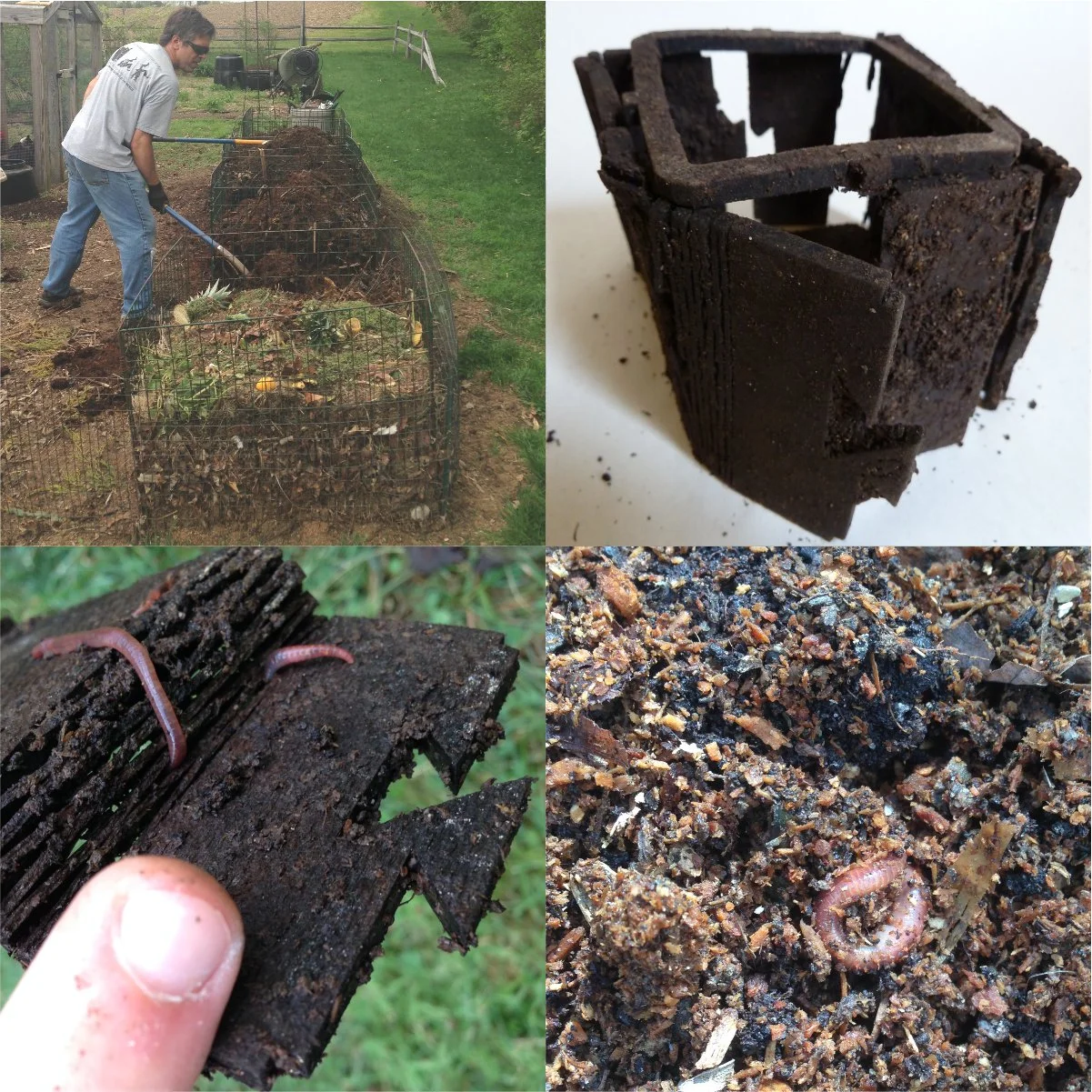 Biodegradability testing