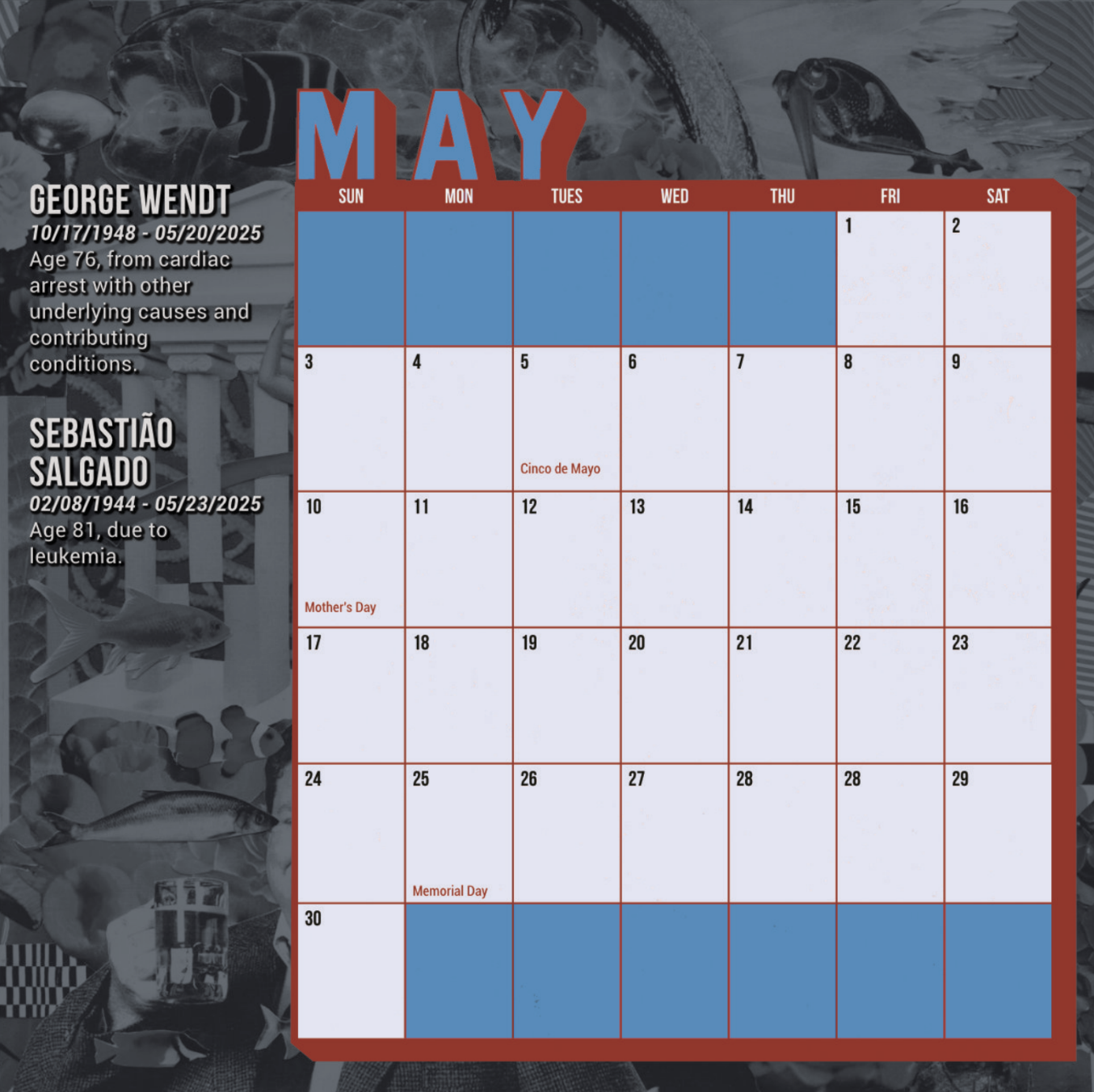 Screenshot 2025-12-17 at 8.54.58 AM.png