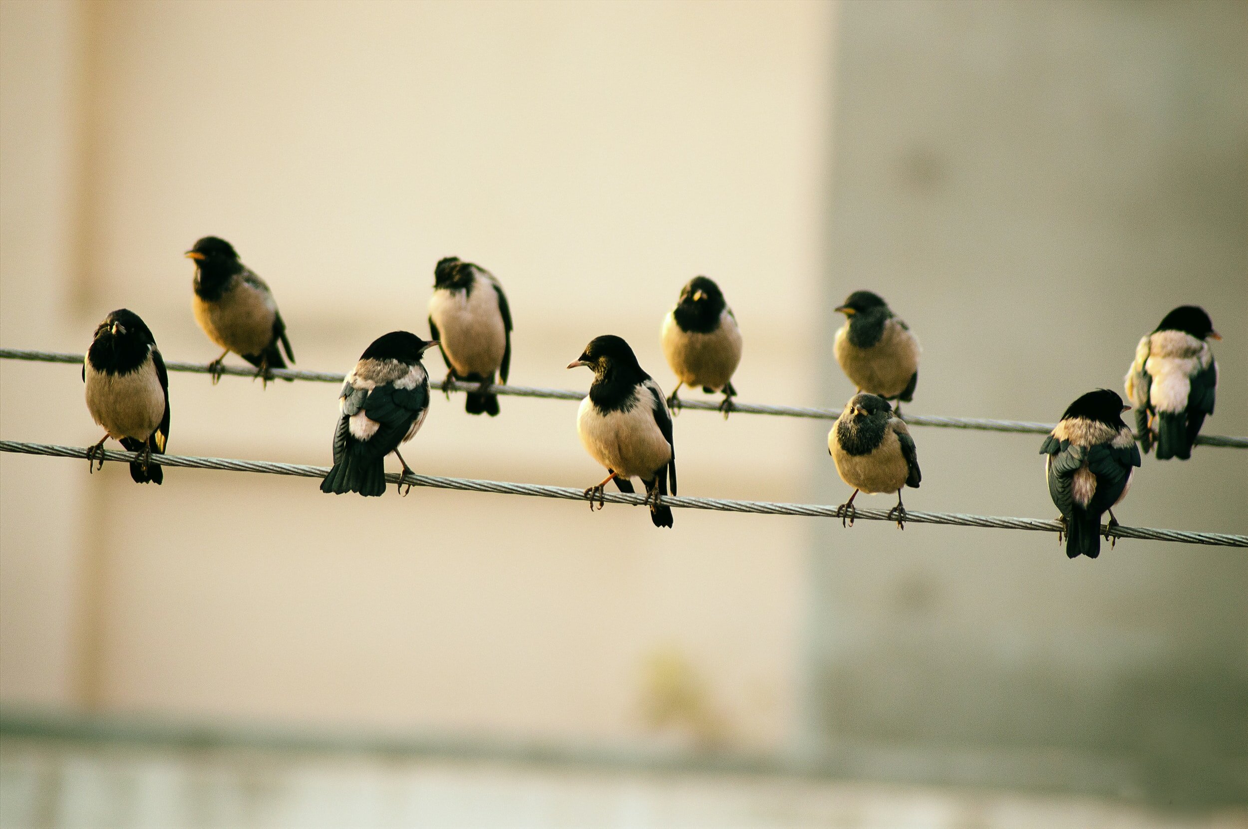 Why savvy leaders operate above the line