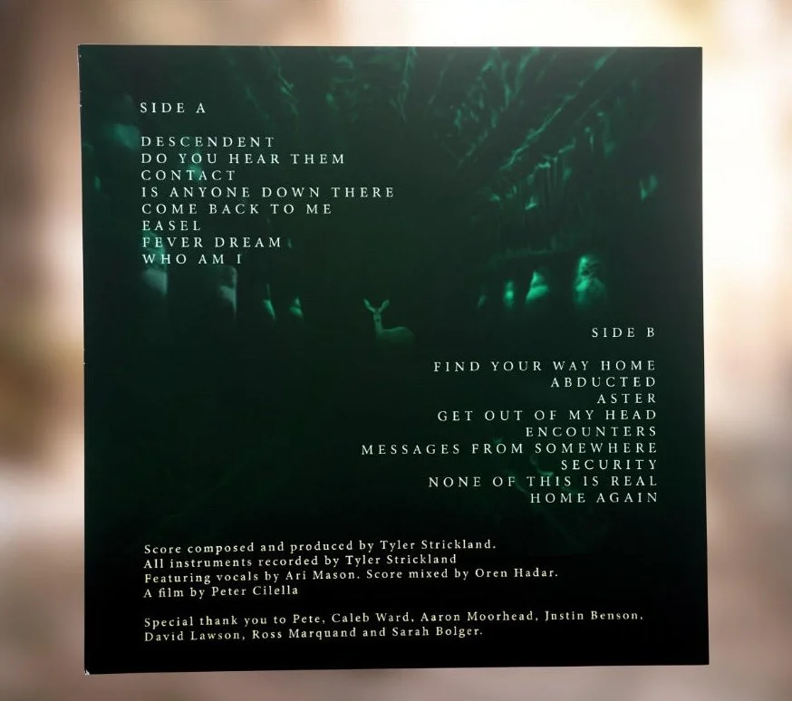 VINYL9.jpg