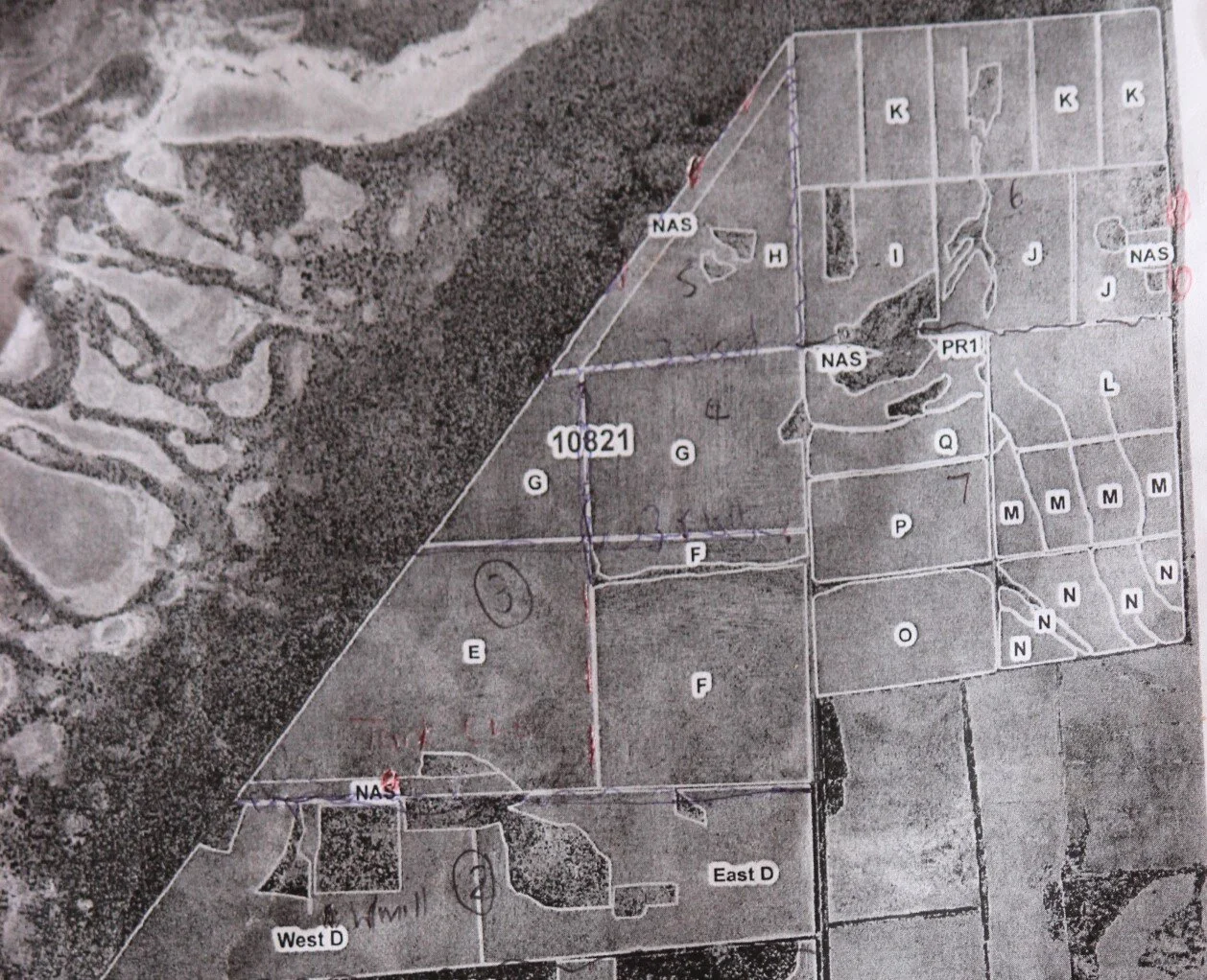 relaxing with sheep map.jpg