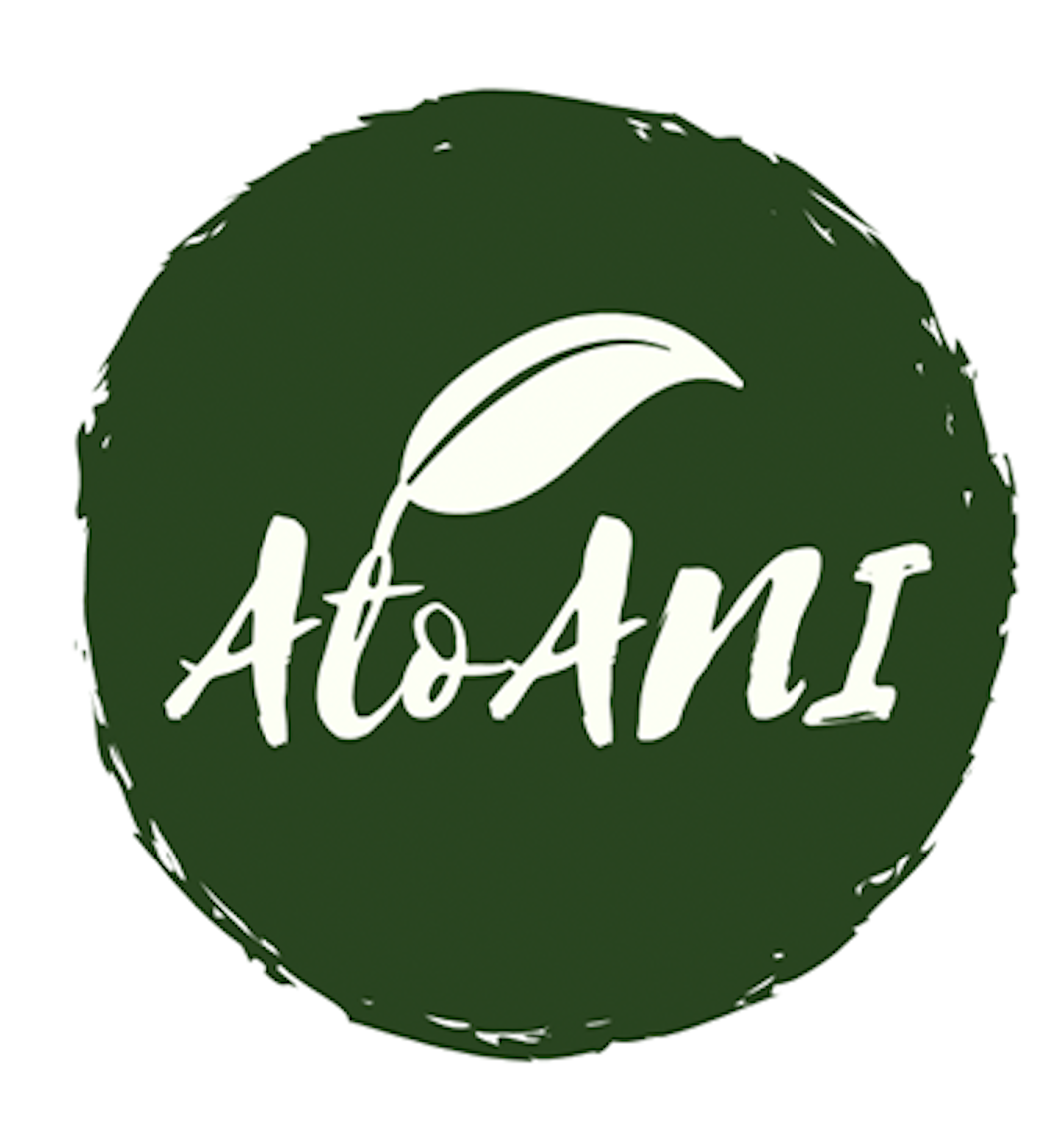 4 AtoAni Logo.png