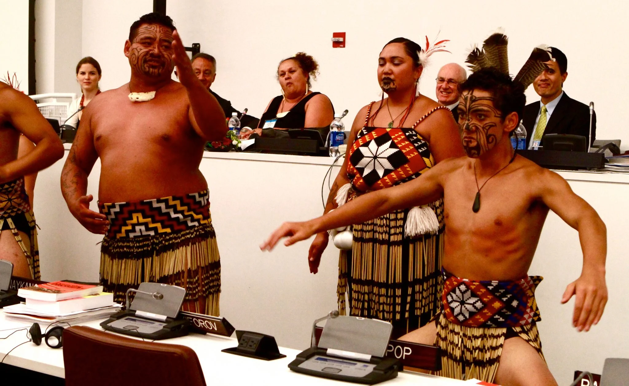 Who is 'Indigenous?'