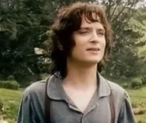 frodo.jpg
