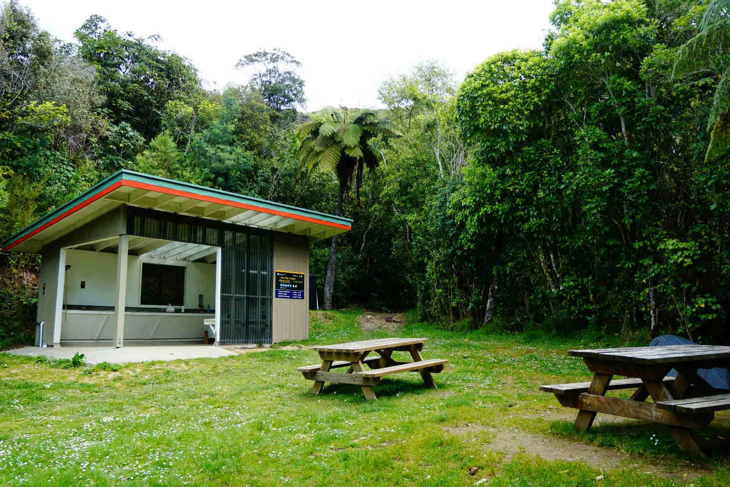 Queen Charlotte Track Itinerary Everything you Need to Plan your Trip