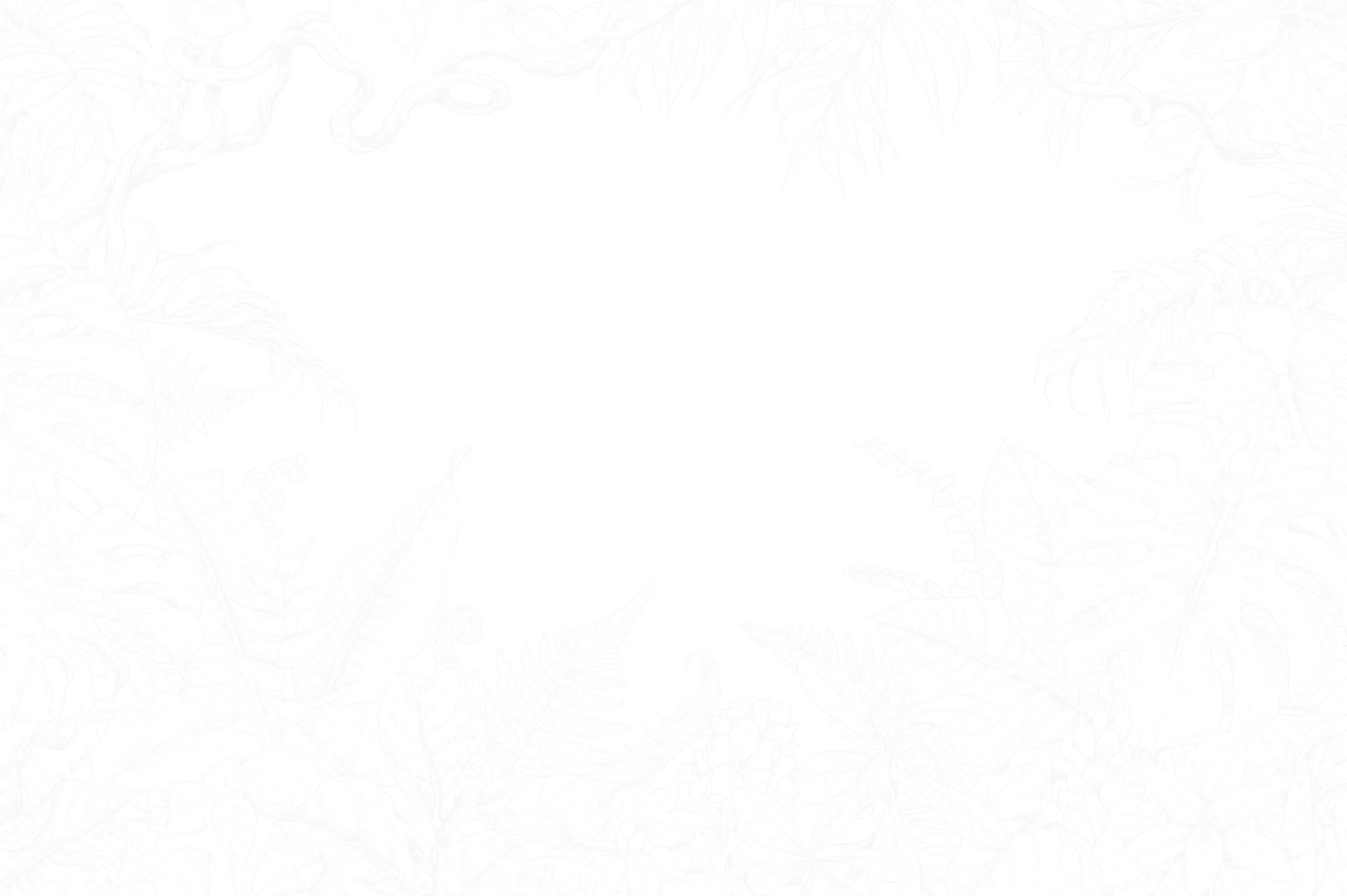 background.jpg