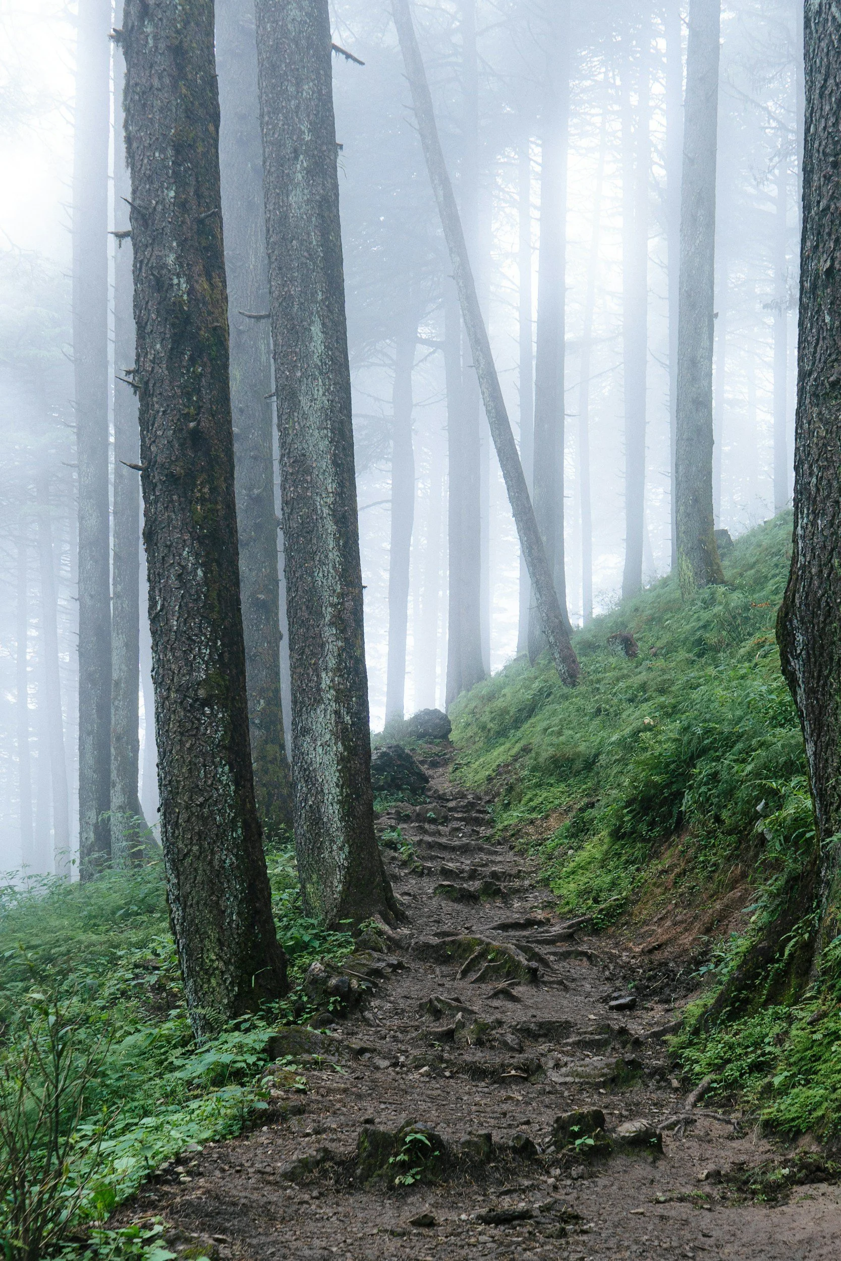 The Power of Belief: How Self-Efficacy Shapes Our DEIB Work