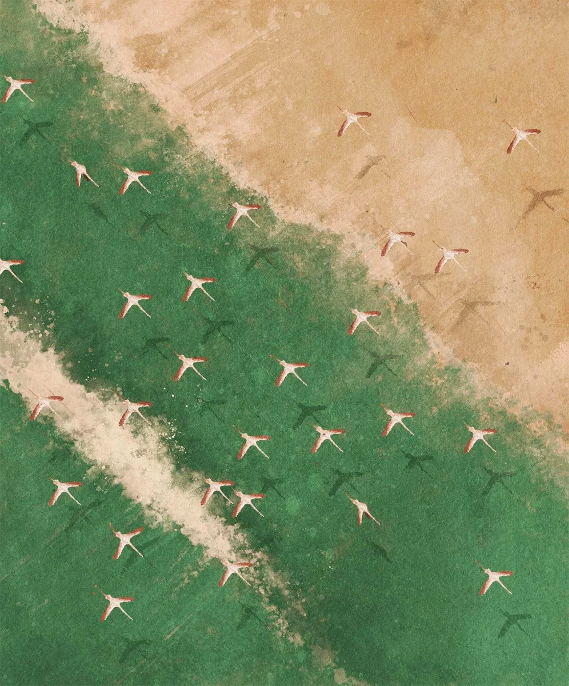 birds_ny-min.jpg